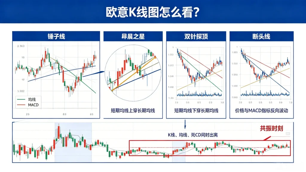 《欧意 K 线图怎么看?》插图,以信息图表形式详细展示 K 线形态